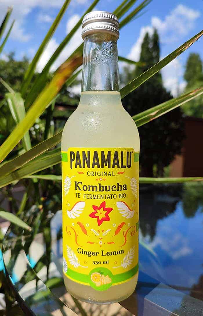 Panamalu-kombucha-bio
